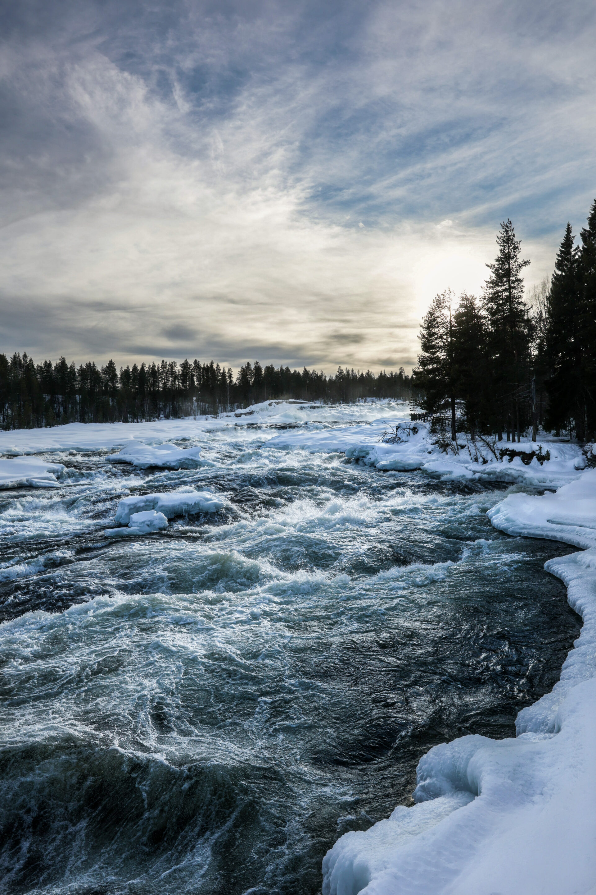 Chutes de Storforsen