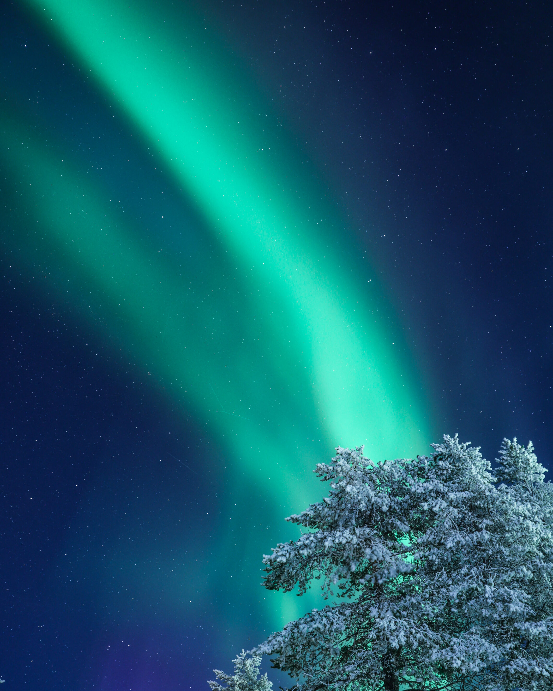 aurores boréales en Finlande