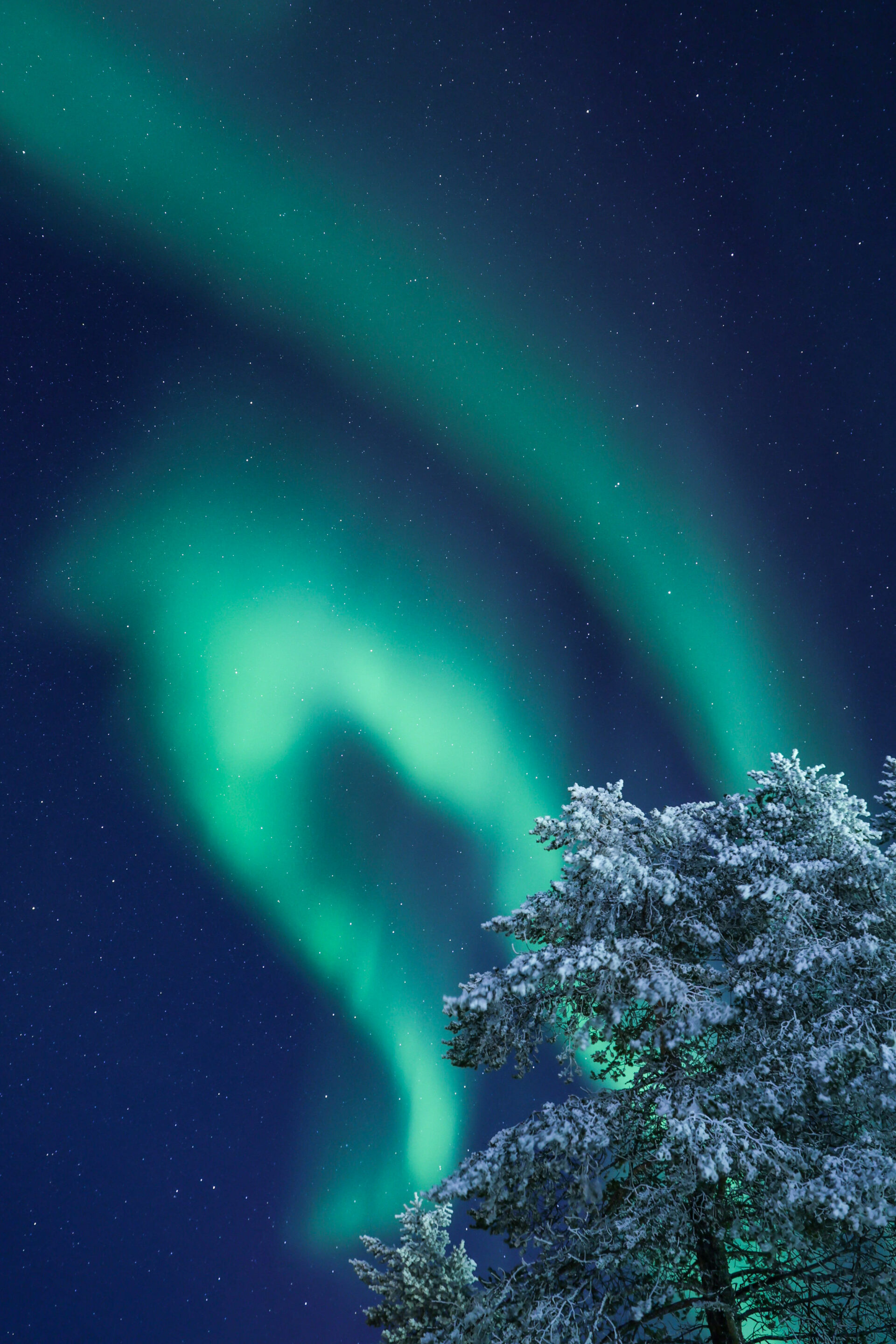 aurores boréales en Finlande