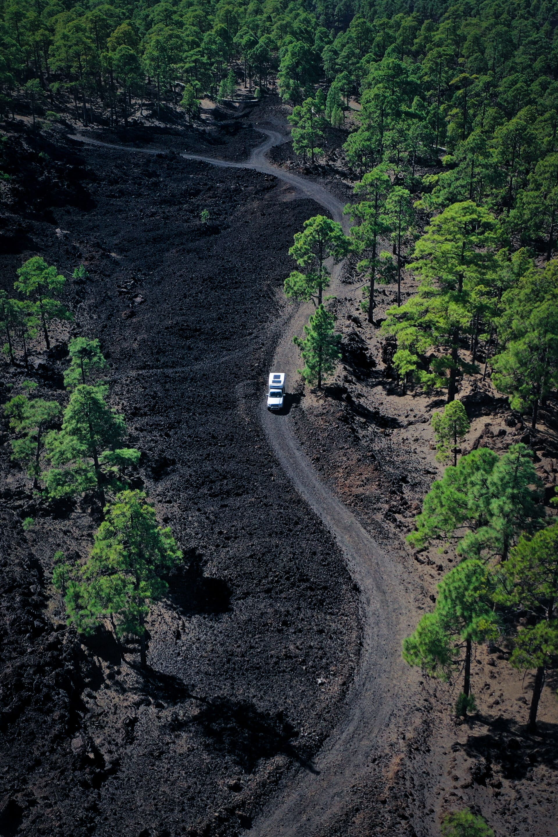 Parc du Teide