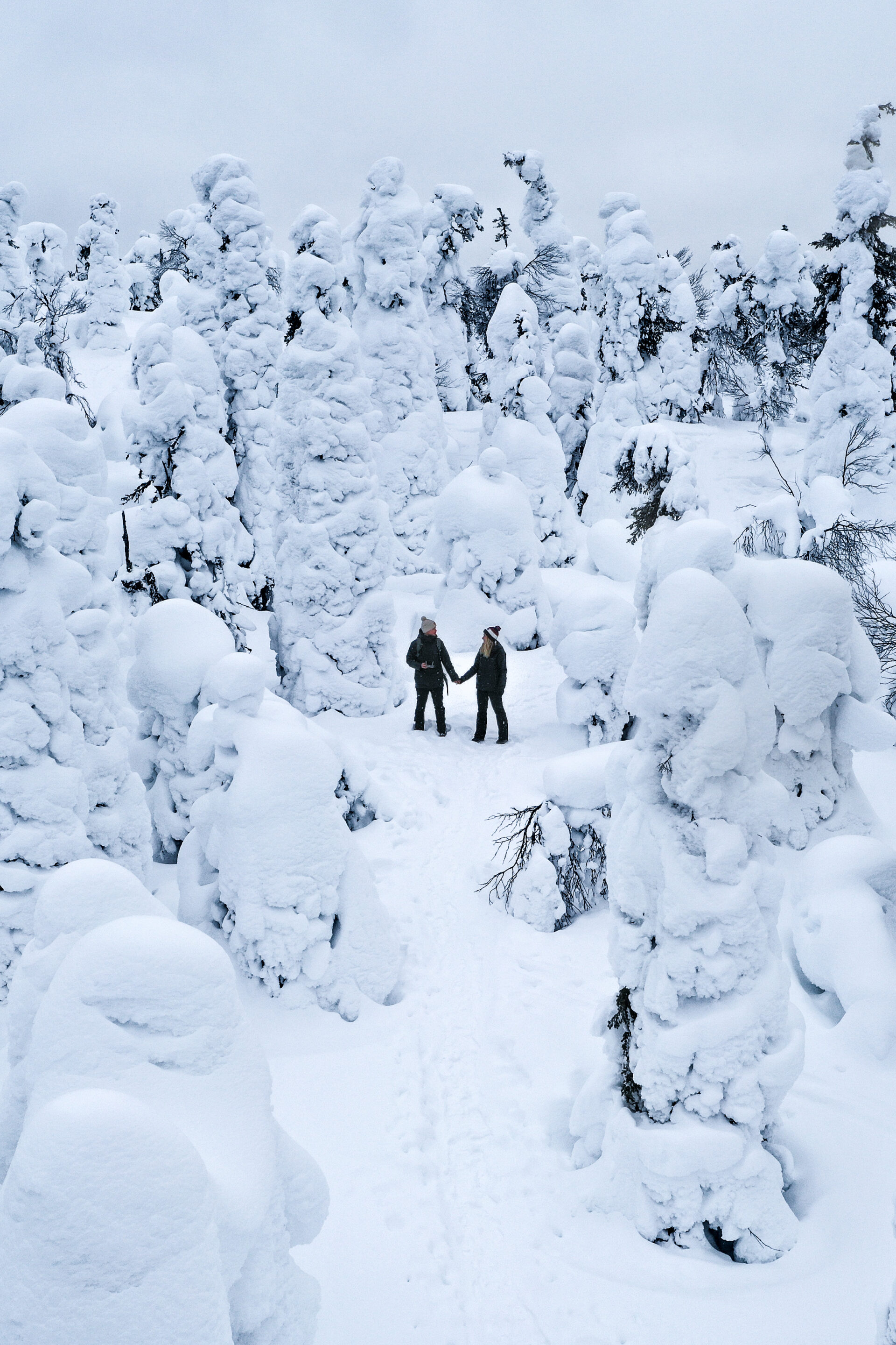 laponie en hiver