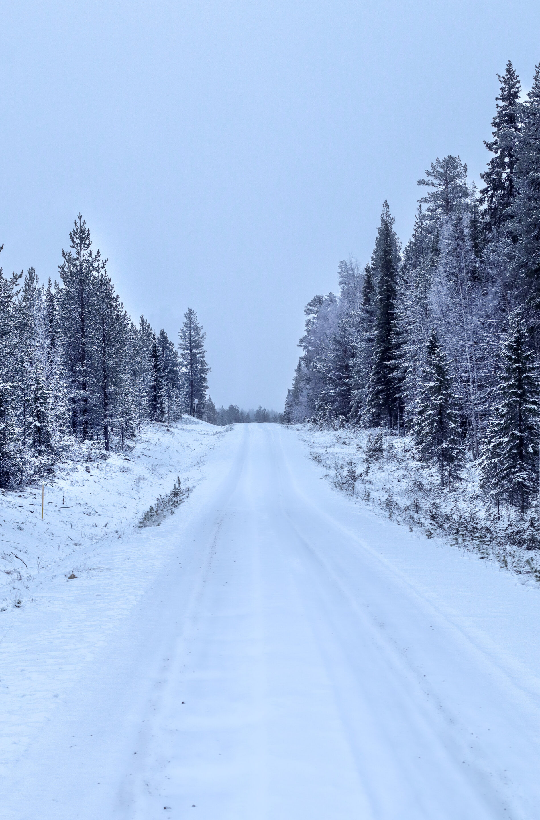 Laponie en hiver