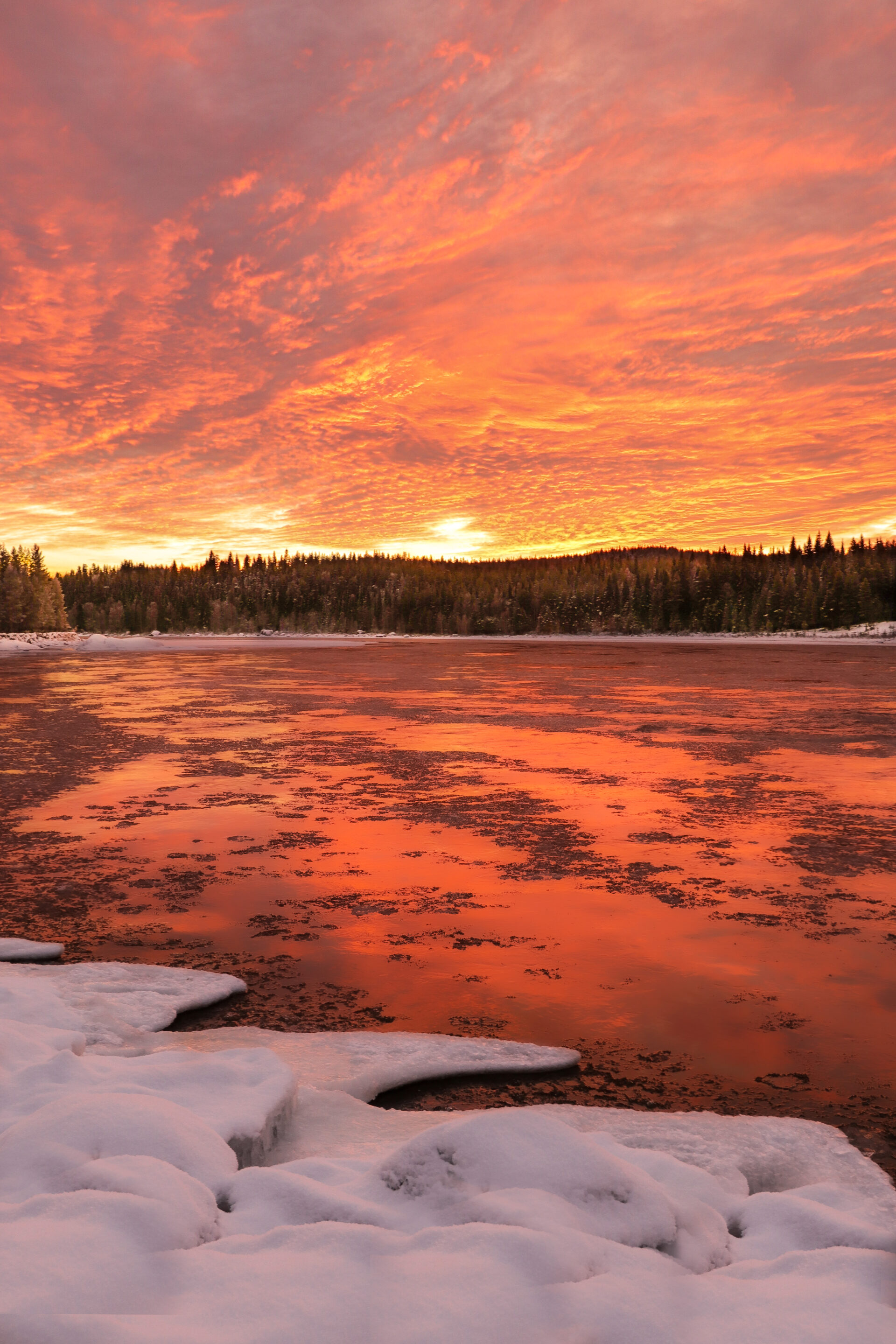 Chutes de Storforsen