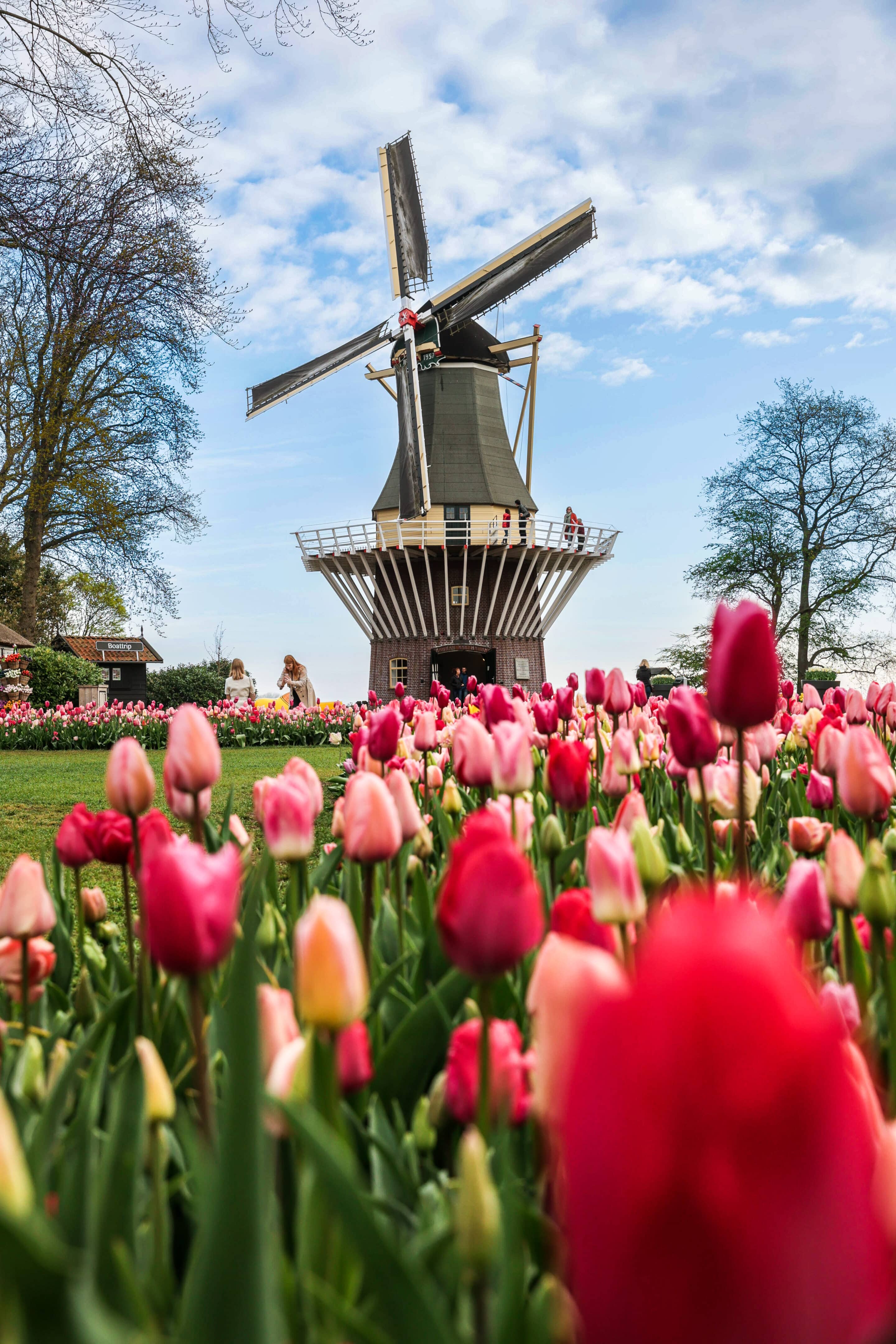 Parc de Keukenhof : guide complet pour préparer votre visite