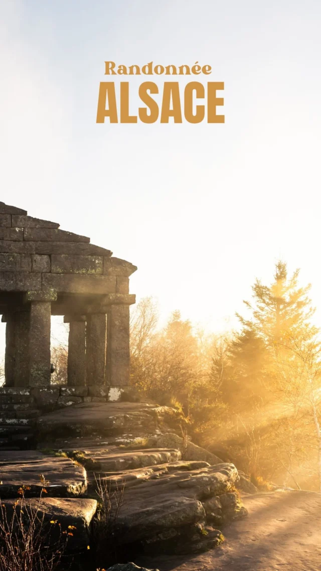 On a trouvé un temple en pleine forêt 😱

C’est complètement fou comme endroit non ? 

Cette balade était sur notre liste depuis longtemps, autant vous dire qu’on n’a pas été déçu ! Et tout ça à 1h30 de route de chez nous, parfois on n’a pas besoin de partir à l’autre bout du monde pour être émerveillés 🥹

INFOS PRATIQUES : 

📍Temple du Donon - Grandfontaine, Alsace 🇫🇷
🅿️ Départ juste après l’hôtel restaurant Le Velleda. 
🥾 5,8km - Environ 1h45 - 253m de dénivelé 
⚠️ Niveau facile - Accessible aux familles 
🐶 Autorisés

*collaboration commerciale @insta360 

#insta360 #insta360x4 #alsace #visitalsace